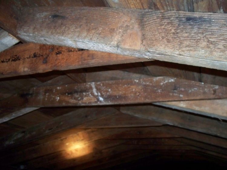 local contractor local roofing